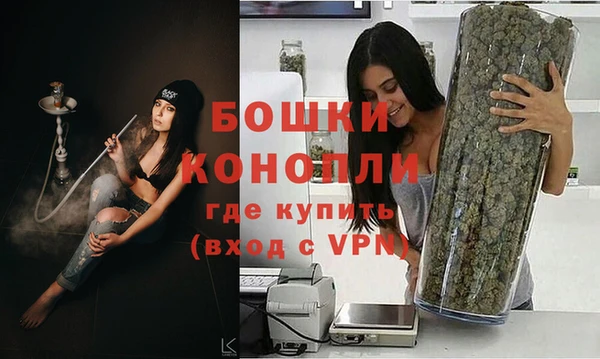 индика Новозыбков