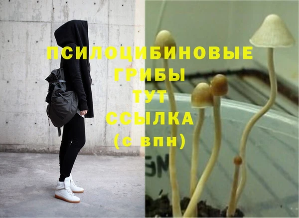 2c-b Армянск