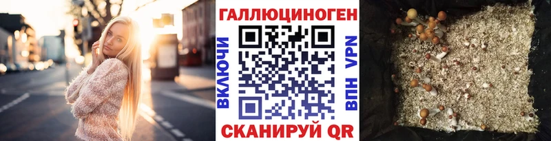 Псилоцибиновые грибы Magic Shrooms  KRAKEN tor  Салаир 